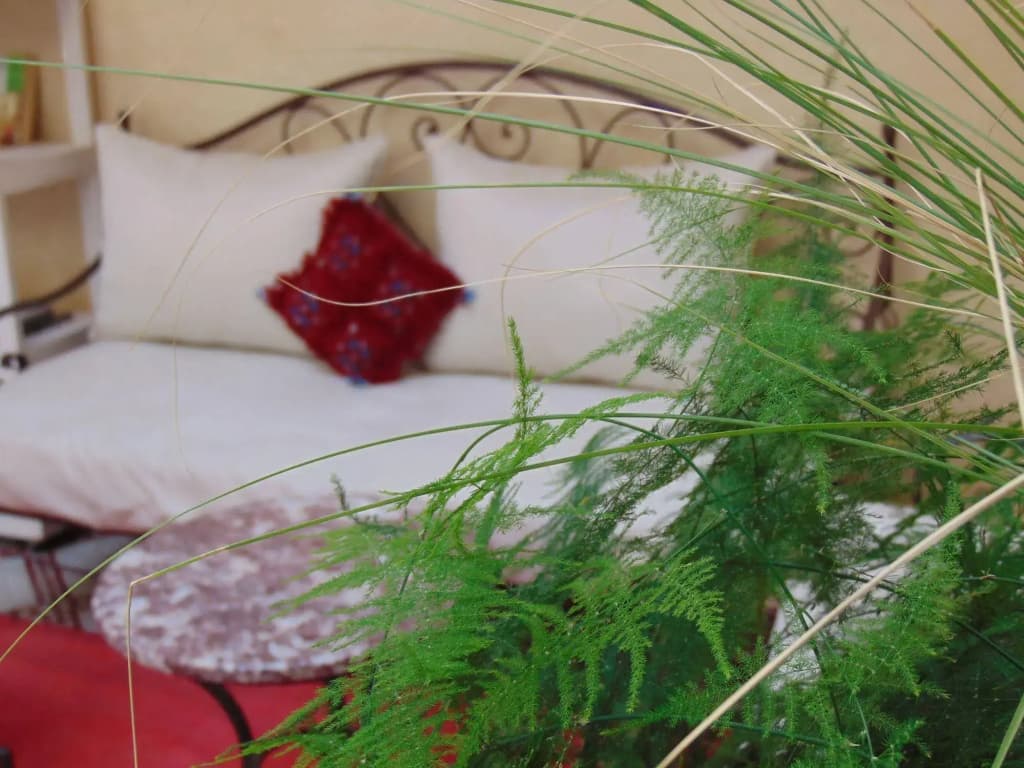 Riad Dar Tuscia - photo 4