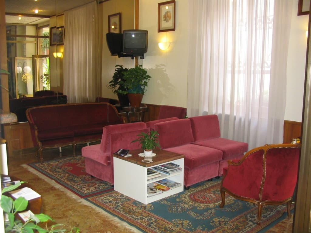 Hotel Mayorca - photo 8