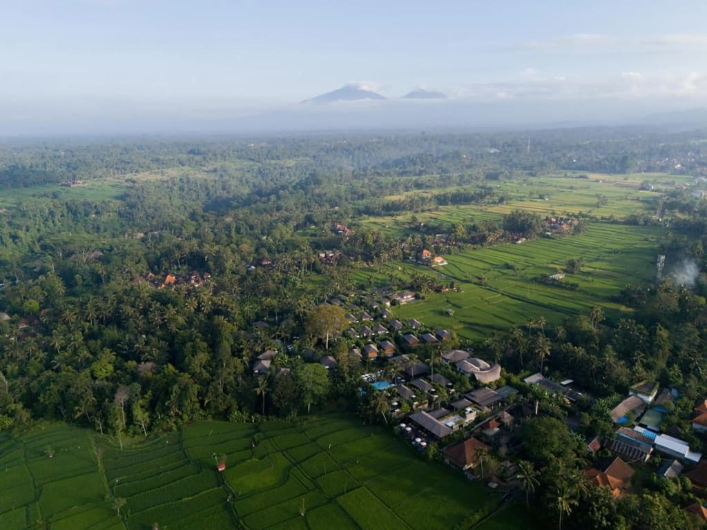 Kappa Senses Ubud Hotel - photo 30