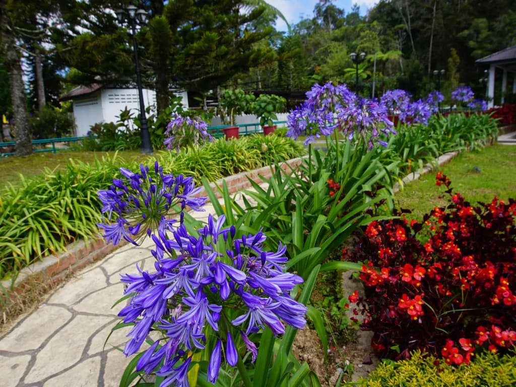 KPW at Greenhill Resort - photo 10
