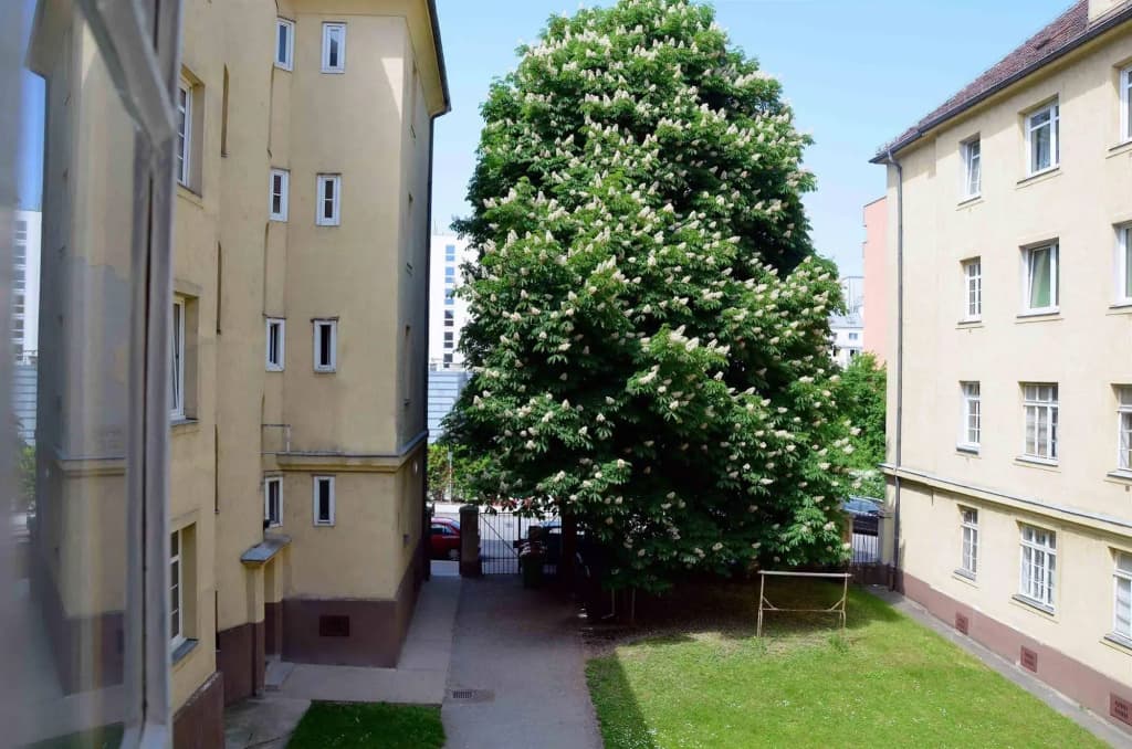 HP Apartments - photo 1