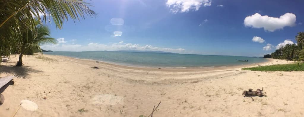 Lee Garden Resort - photo 10