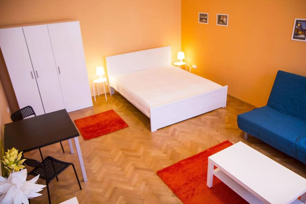 Lidicka Apartments - photo 4