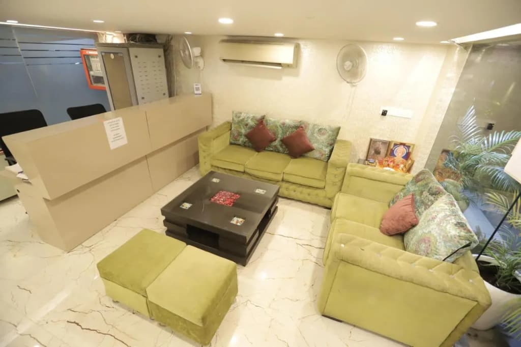 Hotel Picasso Naraina - photo 2
