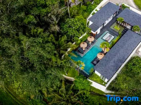 Villa Lagoon by BaliSuperHost - photo 3
