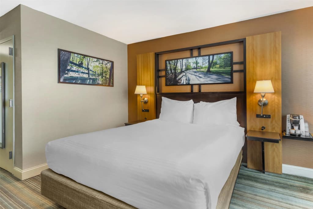 Best Western Queens Gold Coast - photo 4