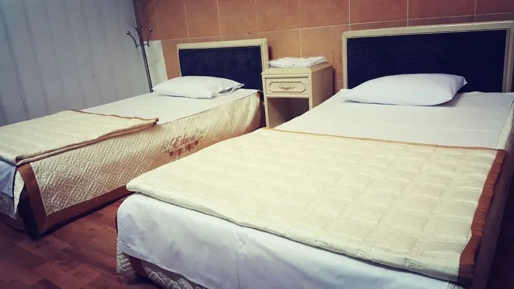 Hanoi Star Hotel - photo 4