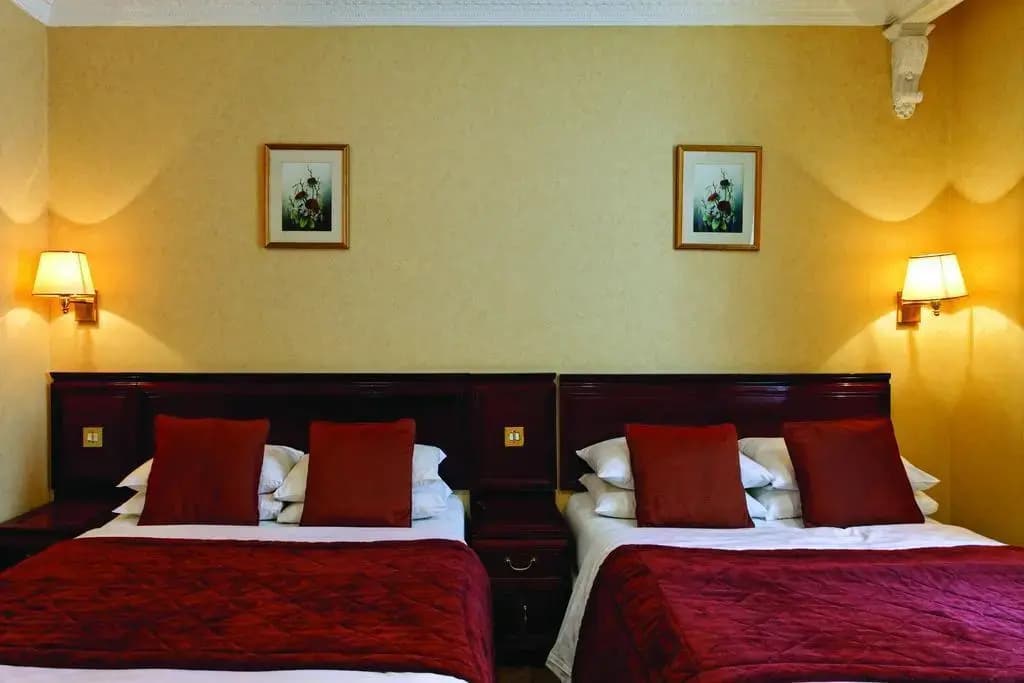 Rochester Hotel by Blue Orchid - photo 5
