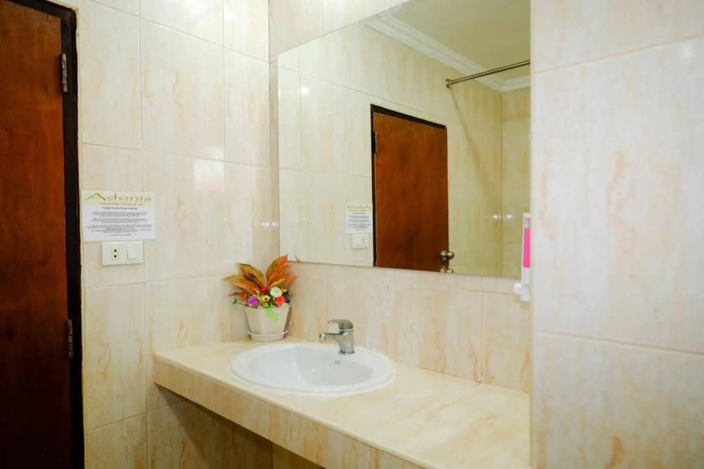 Adonis Guest House - photo 9