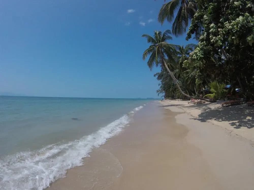 Silvermoon Beach & Jungle Resort - photo 10