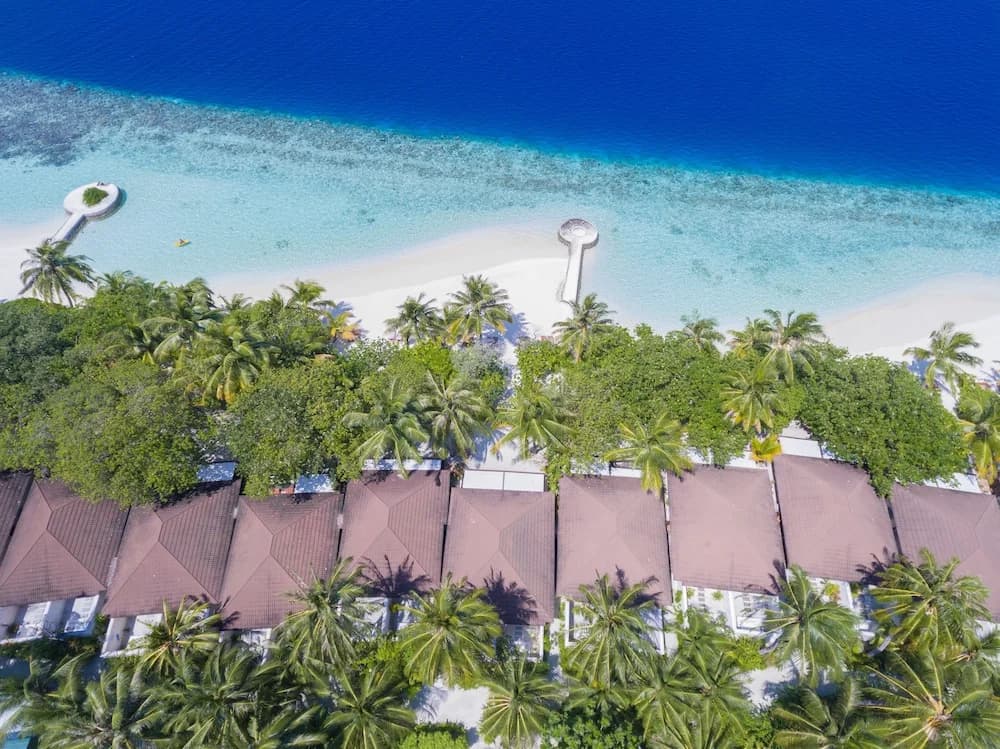 Lily Beach Resort & Spa - photo 25