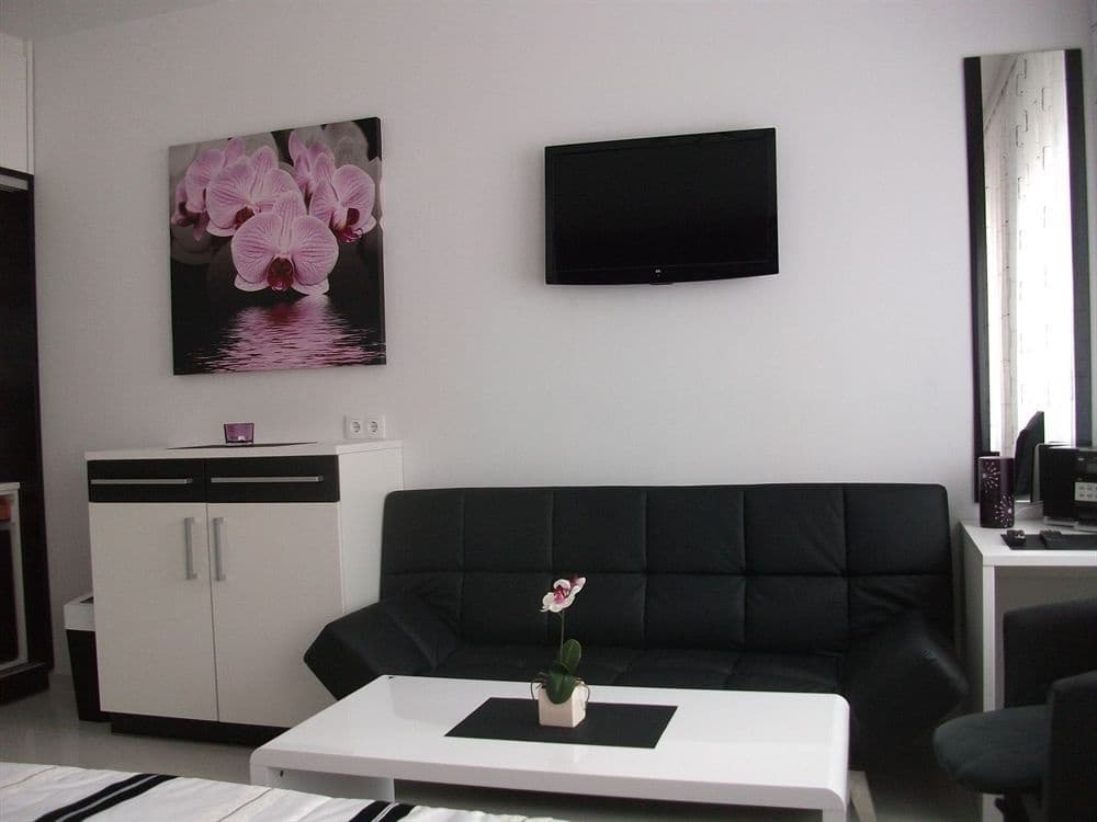 Constantin Apartments - photo 4