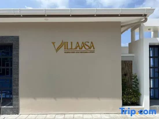 Villaasa - photo 25