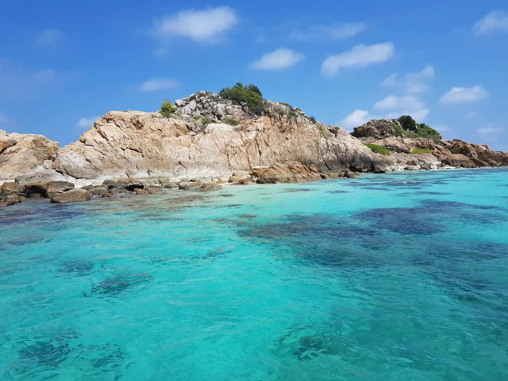 Ombak Dive Resort - photo 14
