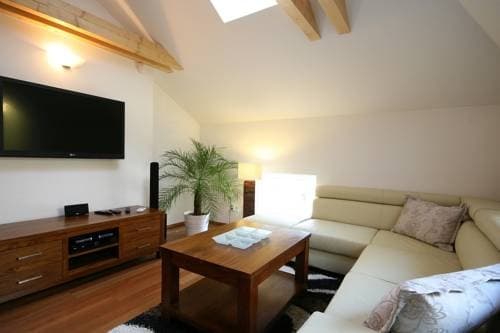 Apartment Attic Olivova - photo 2