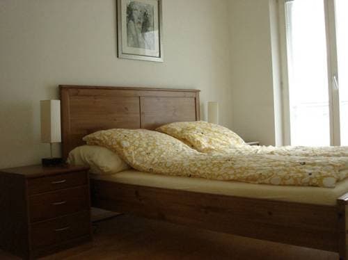 Vienna Central Apartments - photo 3
