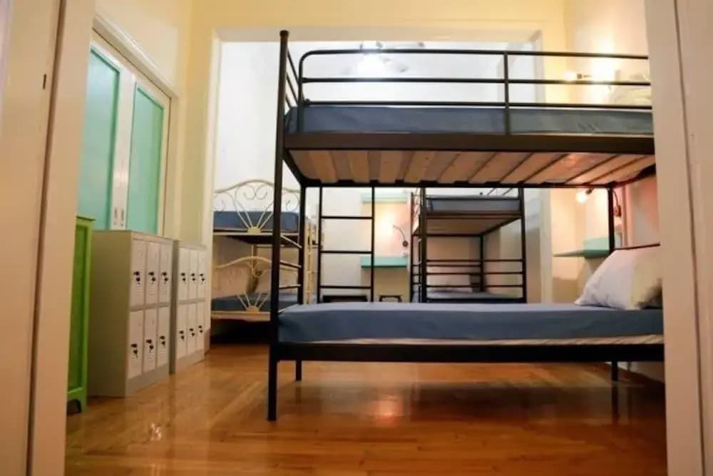 Chameleon Youth Hostel - Hostel - photo 4