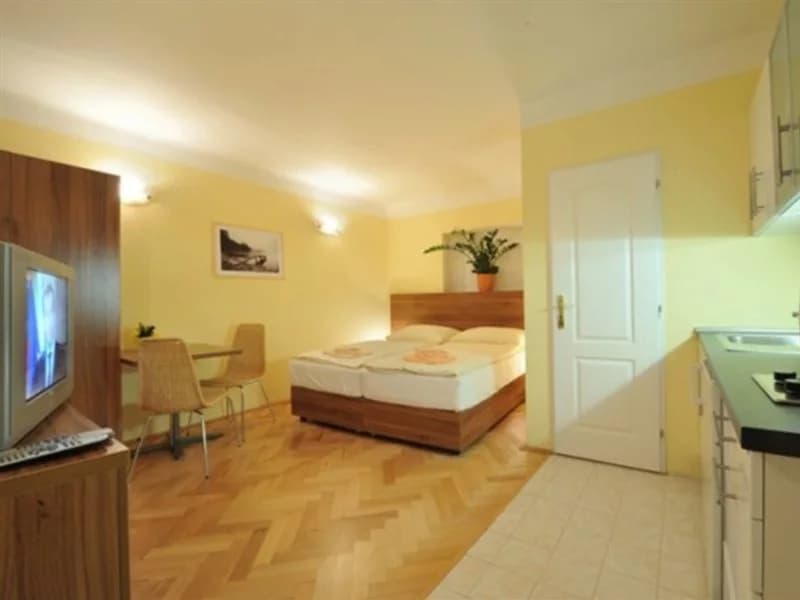 U Zlate Podkovy Apartments - photo 2