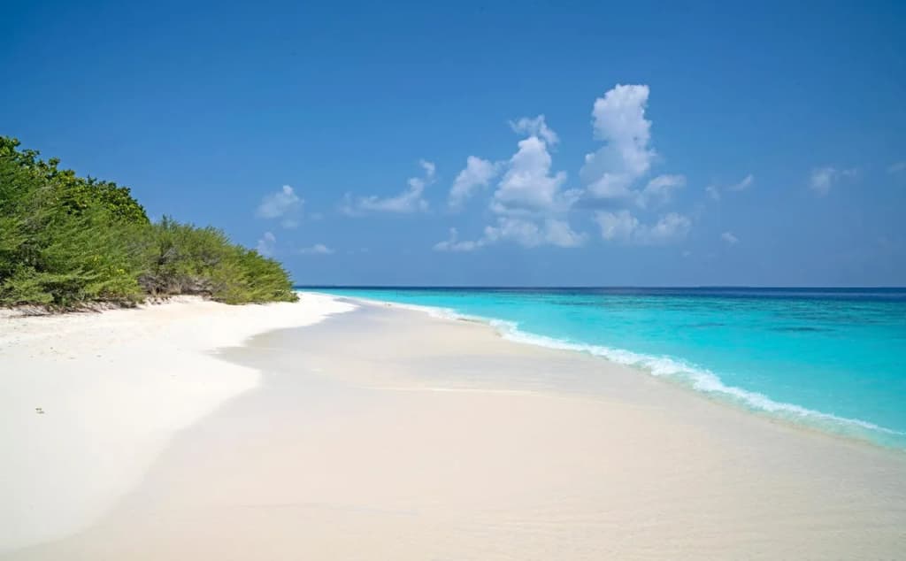 Ocean Village Maldives - photo 11