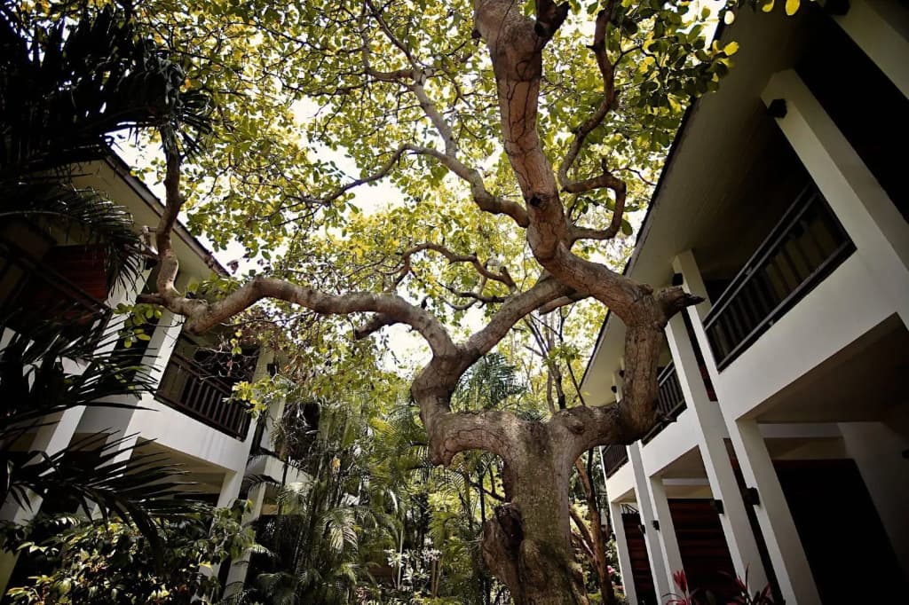 The Hive Hotel Samui - photo 24