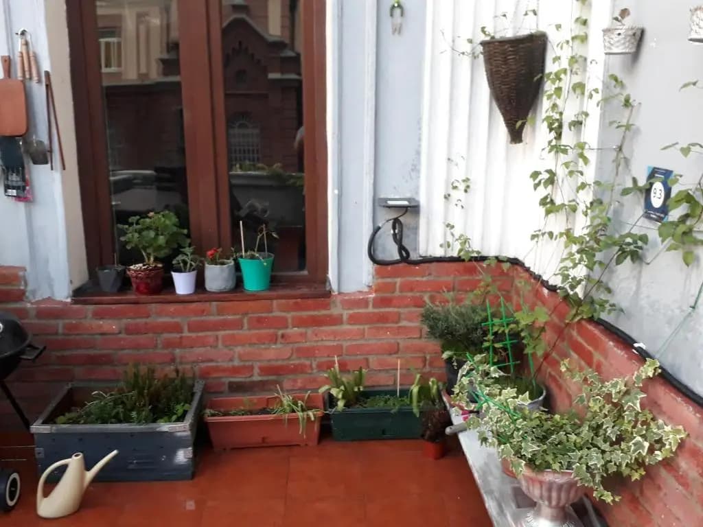 Salve veranda - photo 4