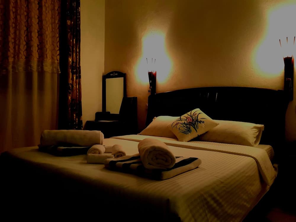 Island Guest - photo 4