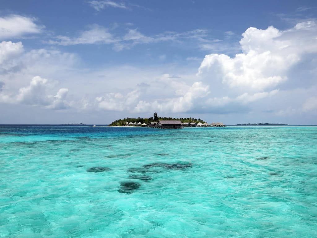 Gangehi Island Resort - photo 27