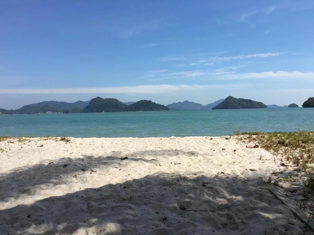 Wild Pasir Panjang Villas - photo 10