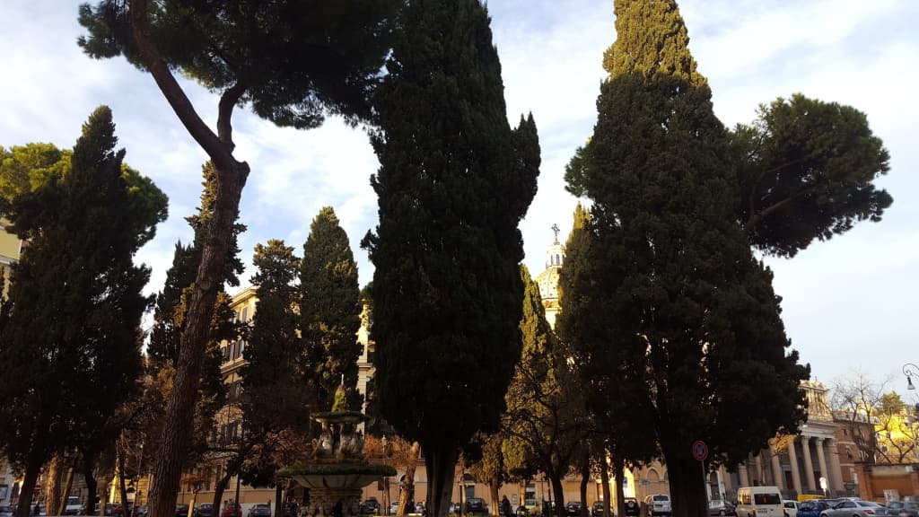 Domus Quiritum - photo 19