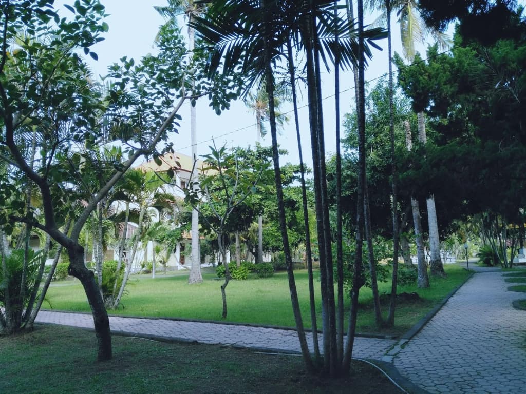 Mekar Jaya Bungalows - photo 16