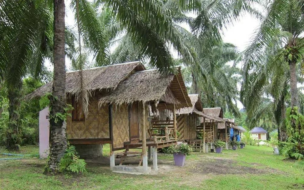 Anavin House - photo 24