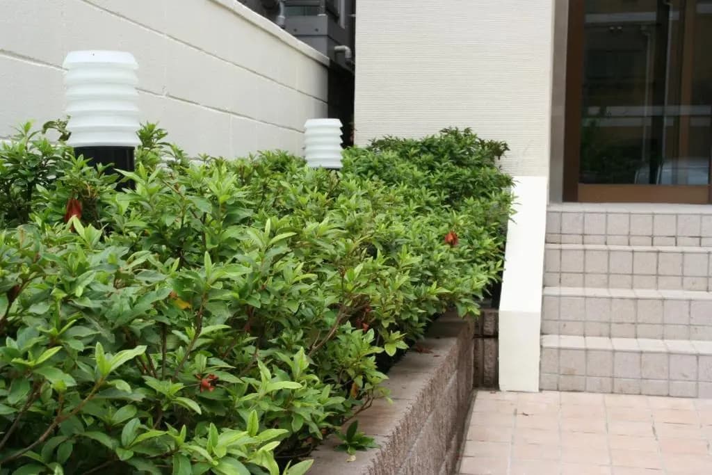 Hotel Hanabi - photo 14