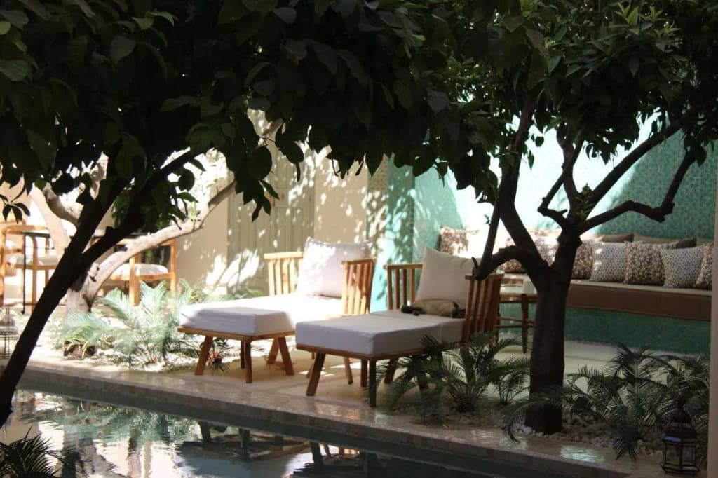 Riad Emberiza Sahari - photo 32