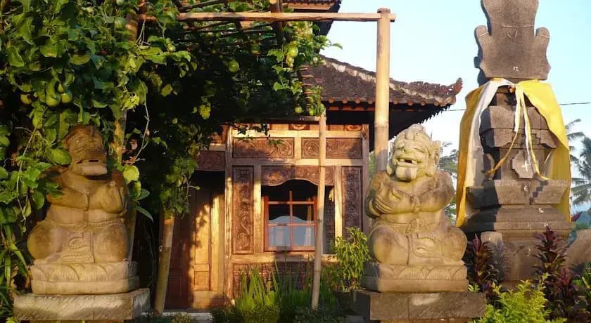 Swallow Guesthouse - photo 3