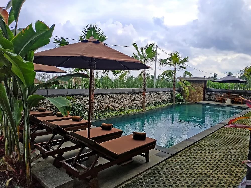 Paon Desa Ubud Hotel - photo 17
