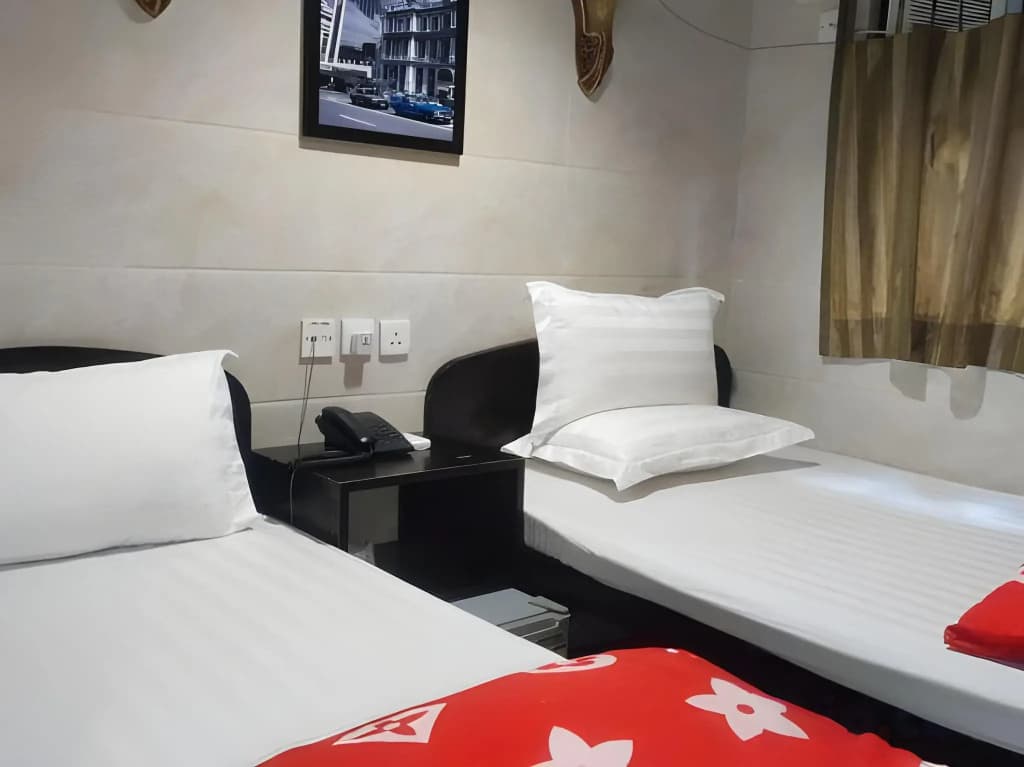 Maharaja Guest House - photo 6