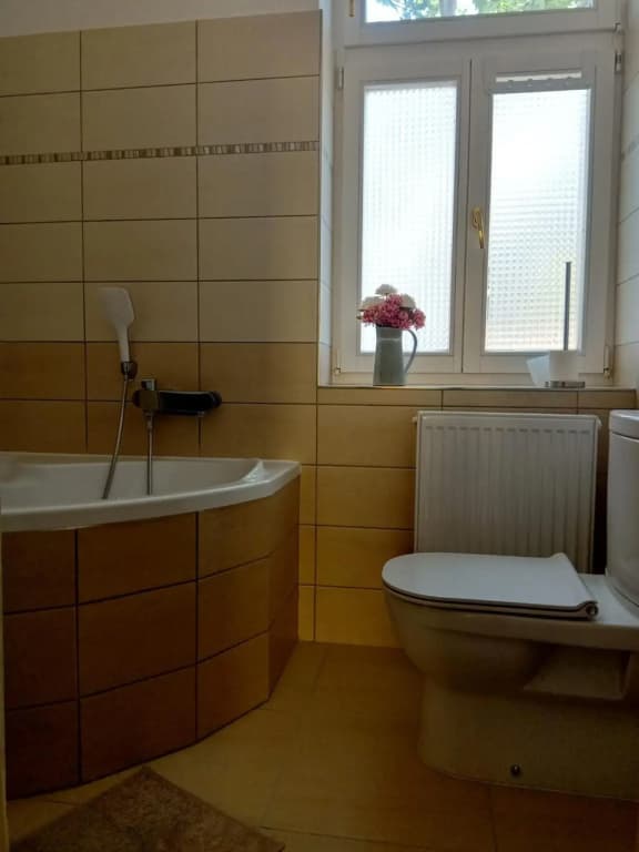 Historic Villa Apartments - photo 7