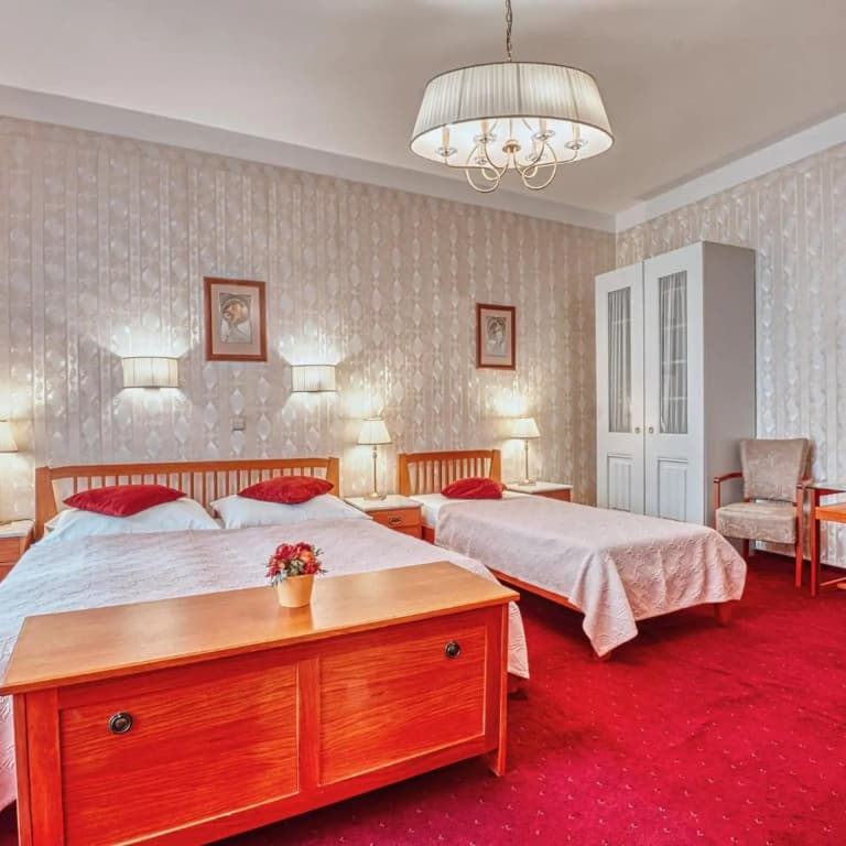 Hotel Salvator - photo 40