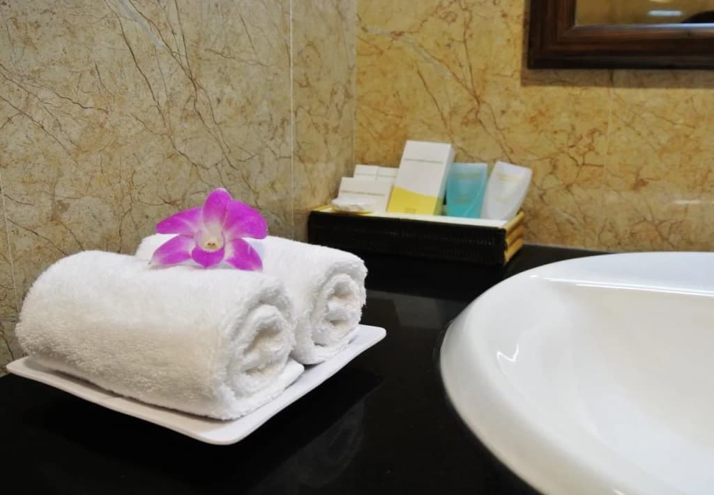 Spring Garden Homestay - photo 5