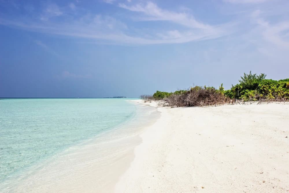Hakuna Maldives - photo 27