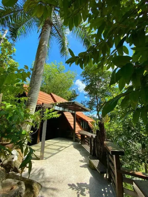 Langit Rimba Resort - photo 2