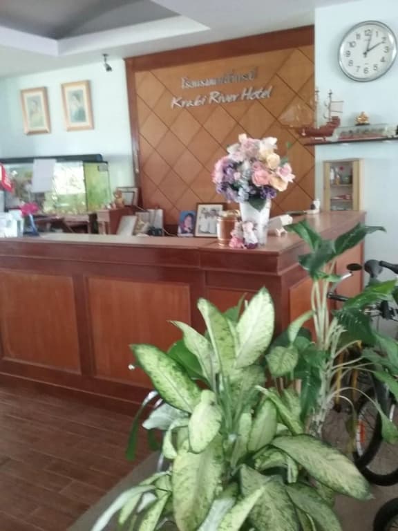 Krabi River Hotel - photo 17