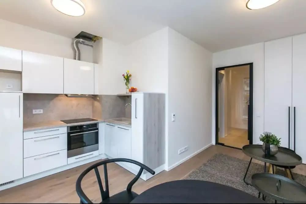 Flawless Apartments Pod Děkankou - photo 14