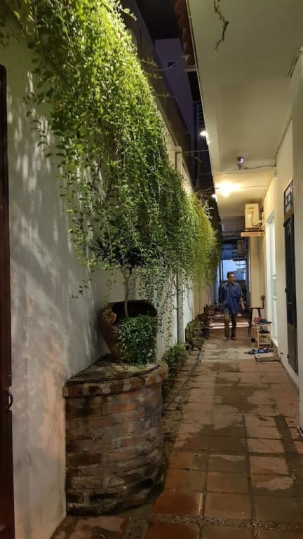 White House Hostel - photo 16