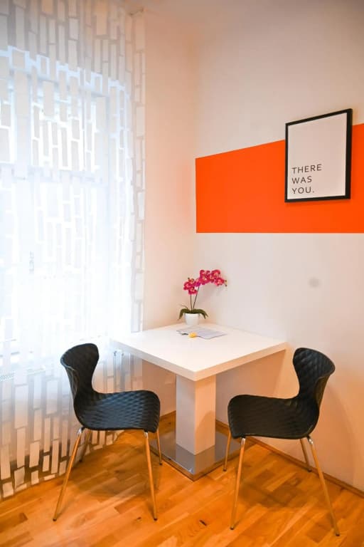 Backpacker Apartment Hofburg - photo 9