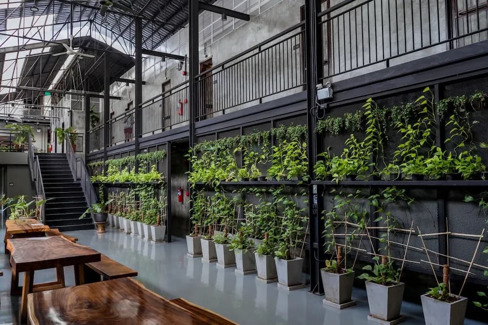 Premier Hostel Chiang Mai - photo 17