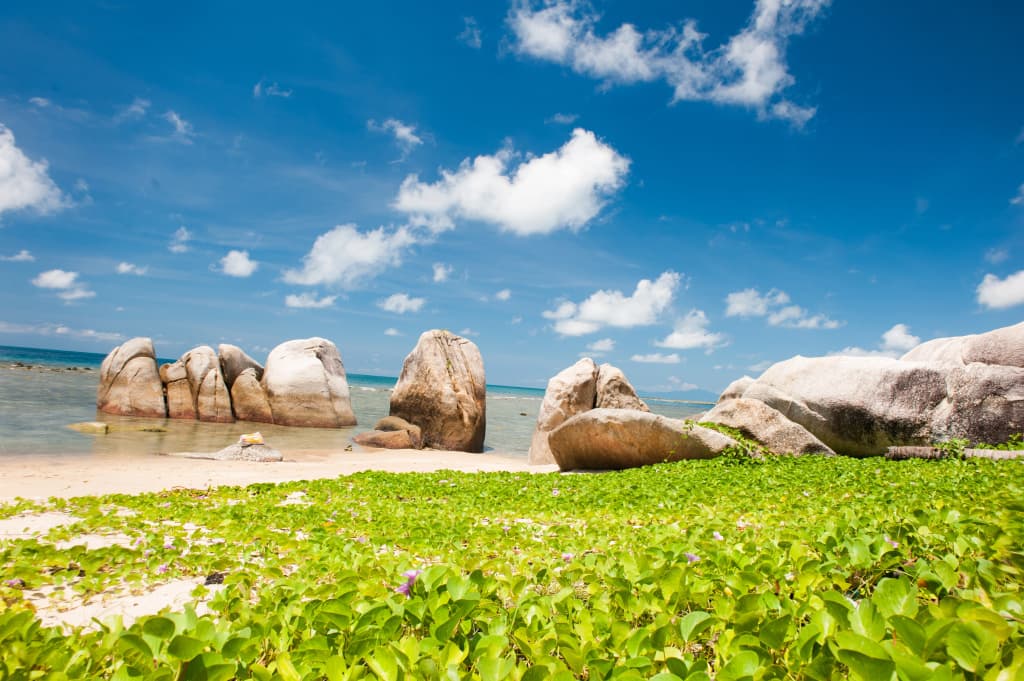 Lazy Days Samui Beach Resort - photo 15
