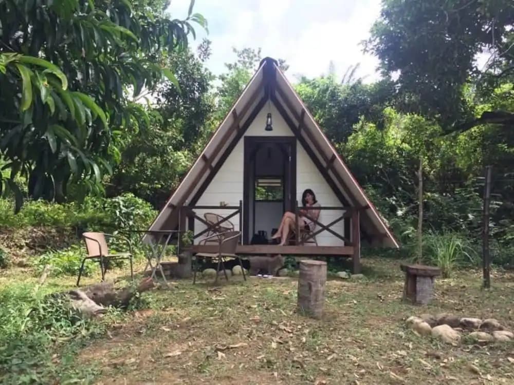 The Forest Cabin Taiping - photo 10