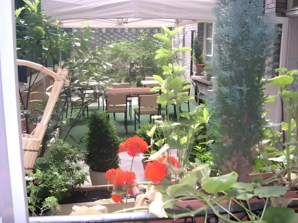 Hôtel Piapia - photo 20
