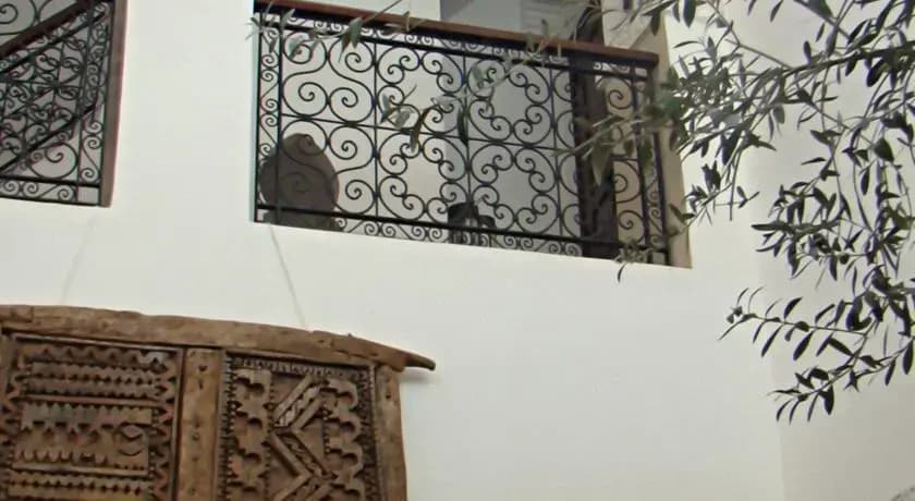 Riad Ica - photo 3